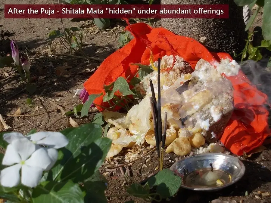 the-day-of-shitala-devi bodyImage